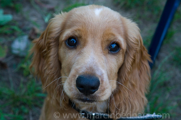 Pleeease!